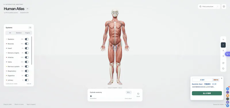 human atlas vercel - 3D Anatomy Viewer