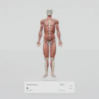 human atlas vercel - 3D Anatomy Viewer