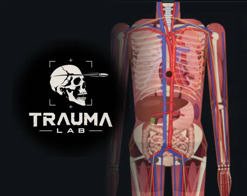 Trauma Lab Itch.io: Anatomy and Physics Sandbox