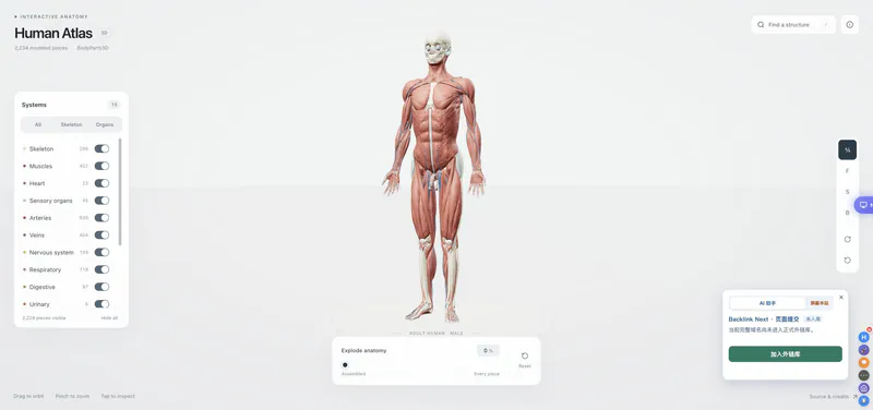 human atlas vercel - Interactive 3D Anatomy Explorer