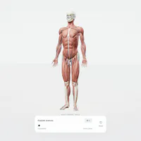 human atlas vercel - Interactive 3D Anatomy Explorer